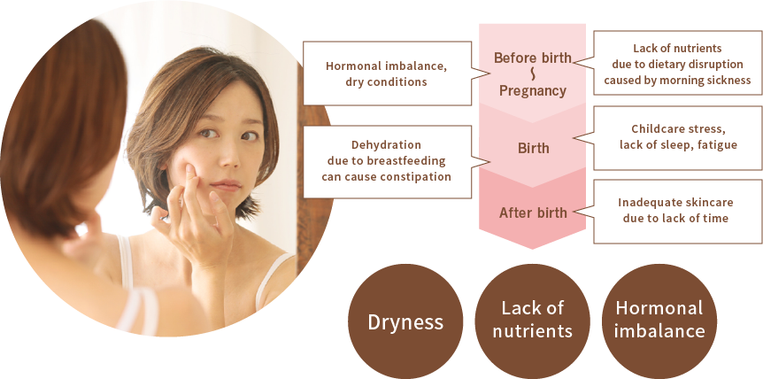Dryness, Lack of nutrients, Hormonal imbalance
