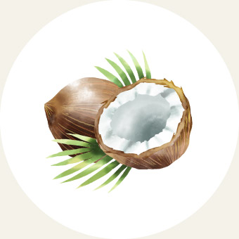 椰子油