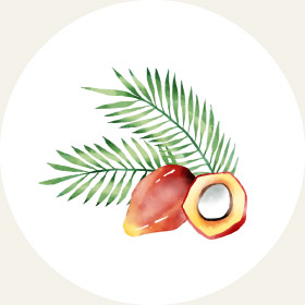 Palm oil　