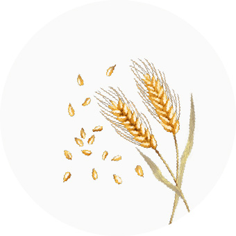 Wheat kernel oil